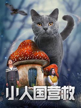 打扑克视频在线观看