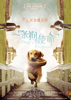 黄色电影免费播放